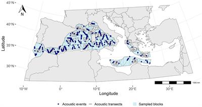 Temporal patterns in dolphin foraging activity in the Mediterranean Sea: insights from vocalisations recorded during the ACCOBAMS Survey Initiative